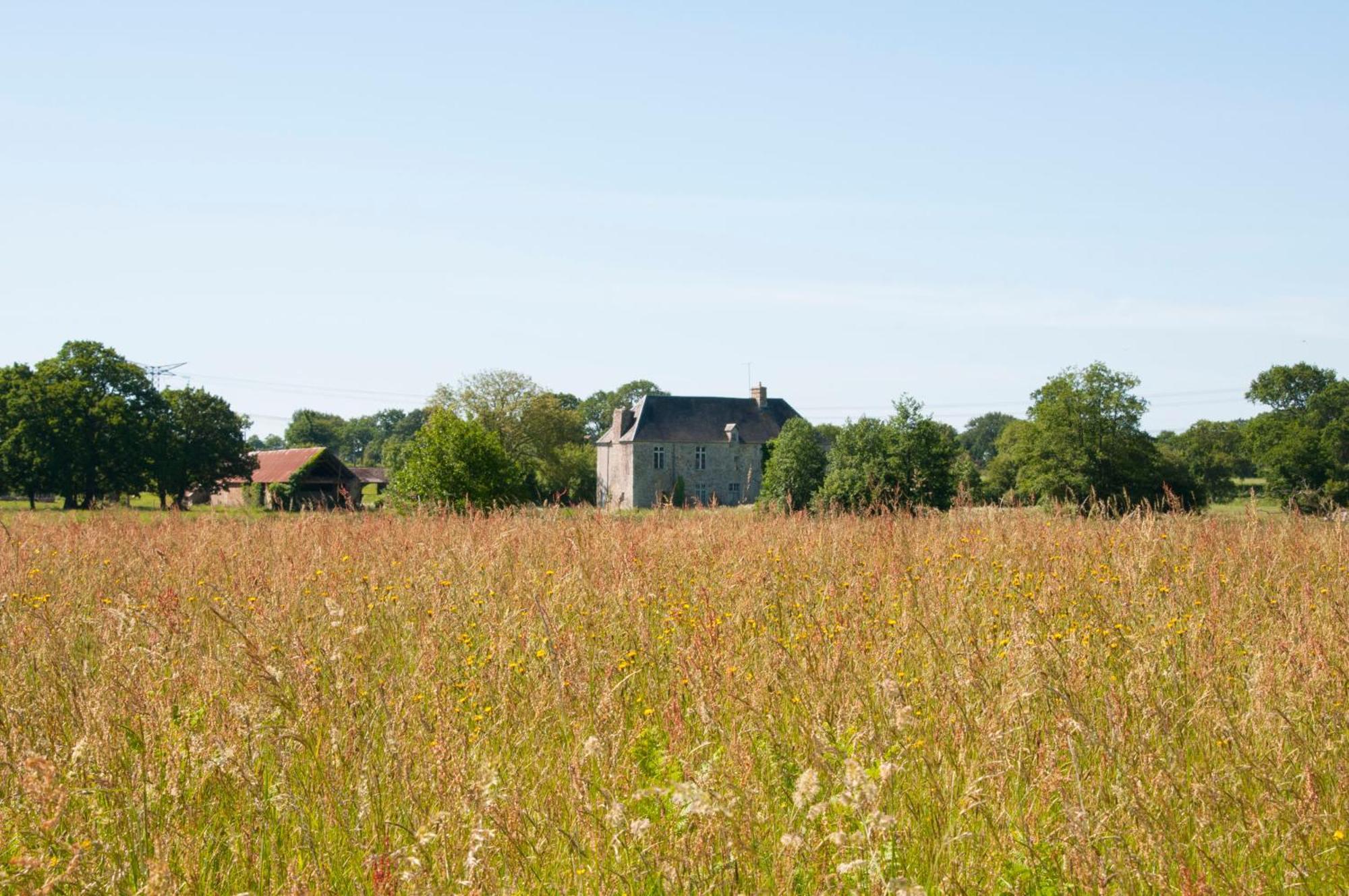 La Maison Des Tilleuls Saint-Germain-Sur-Seves エクステリア 写真