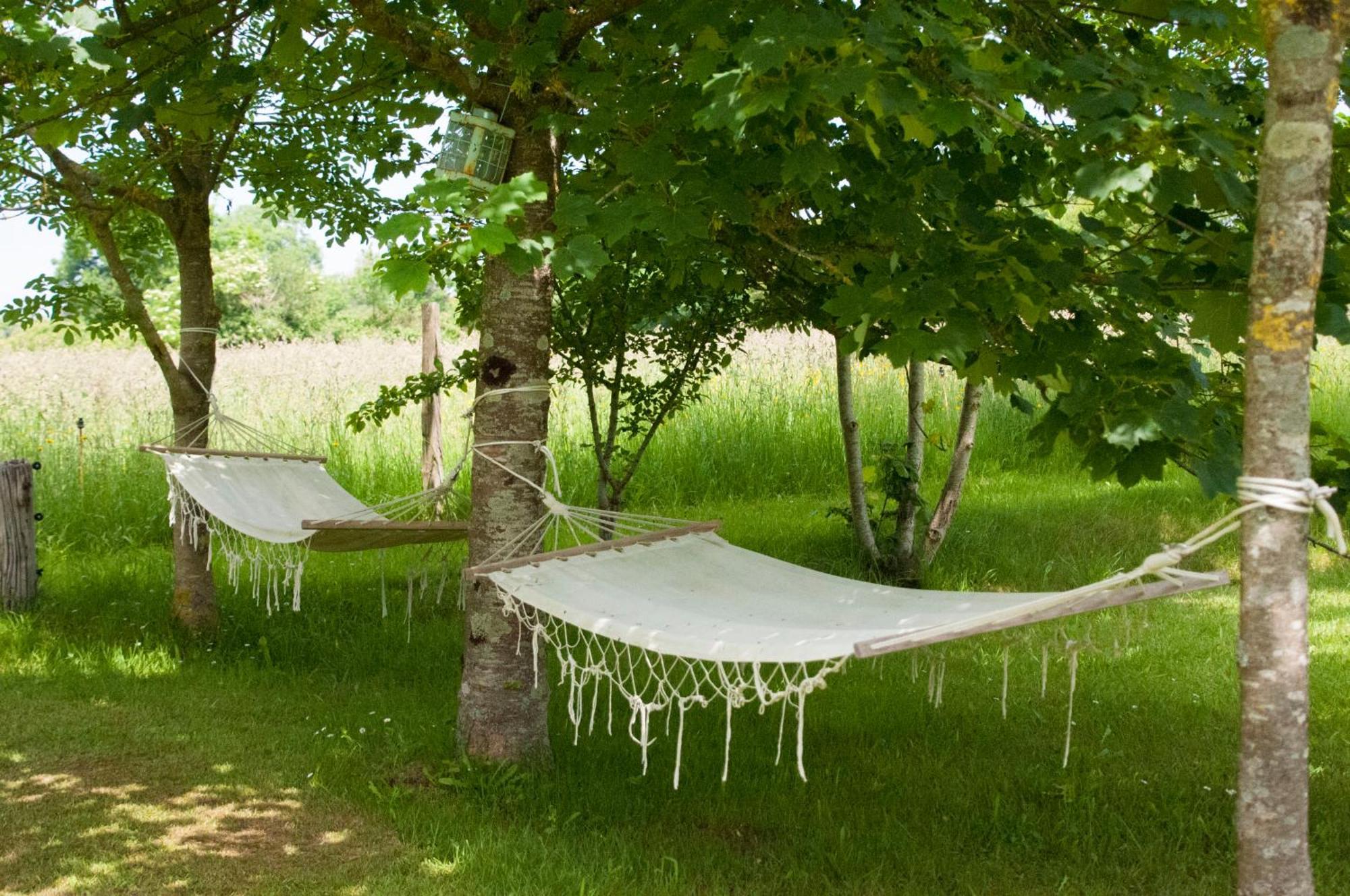 La Maison Des Tilleuls Saint-Germain-Sur-Seves エクステリア 写真